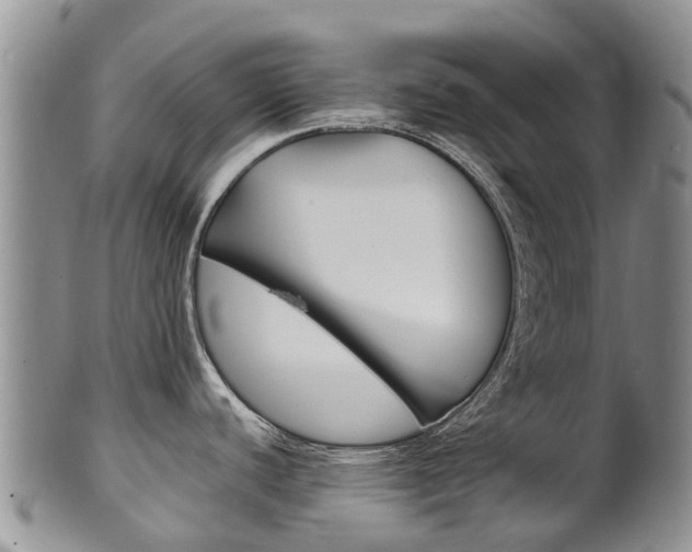 X0000102521440200808081019