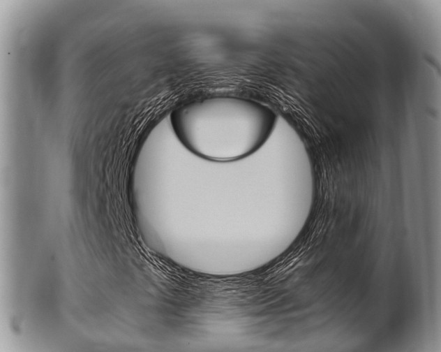 X0000102521441200808081018