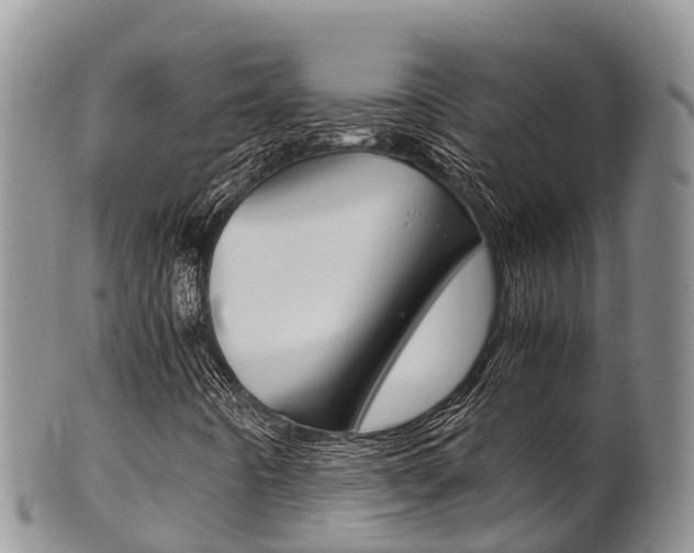 X0000102521442200808081018