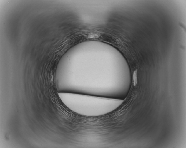 X0000102521443200808081018
