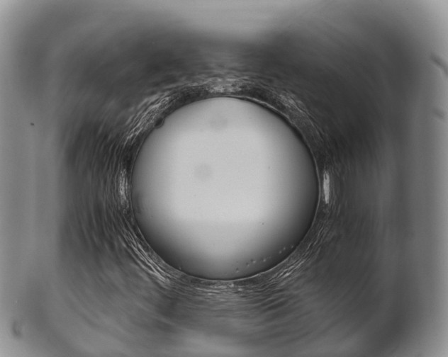 X0000102521444200808081018