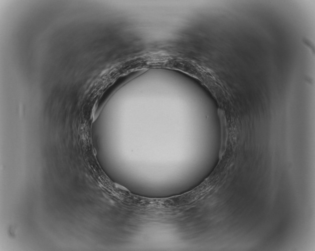 X0000102521445200808081018
