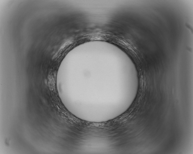 X0000102521446200808081018