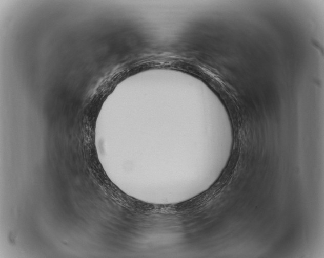 X0000102521447200808081018