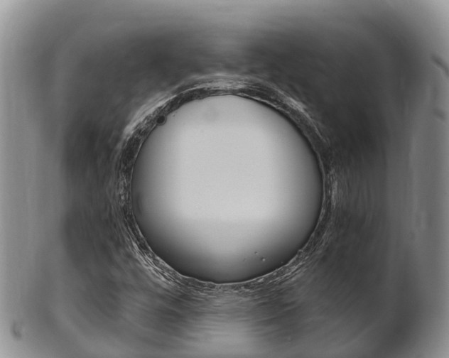 X0000102521448200808081018