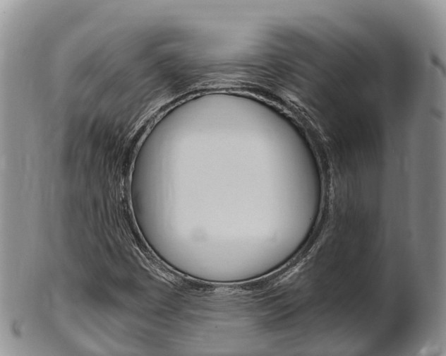 X0000102521449200808081018