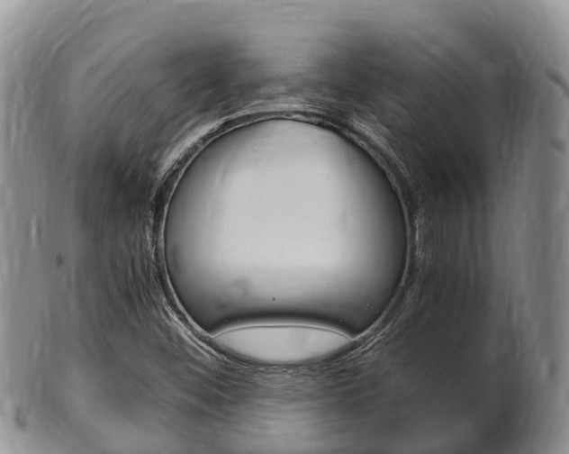 X0000102521452200808081018
