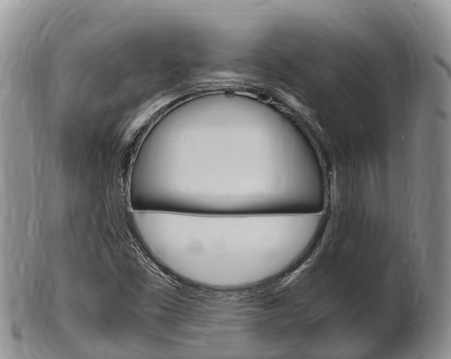 X0000102521453200808081018