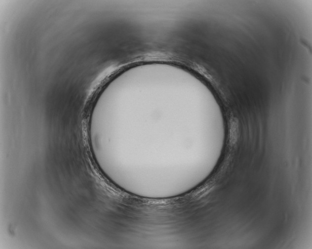 X0000102521454200808081018