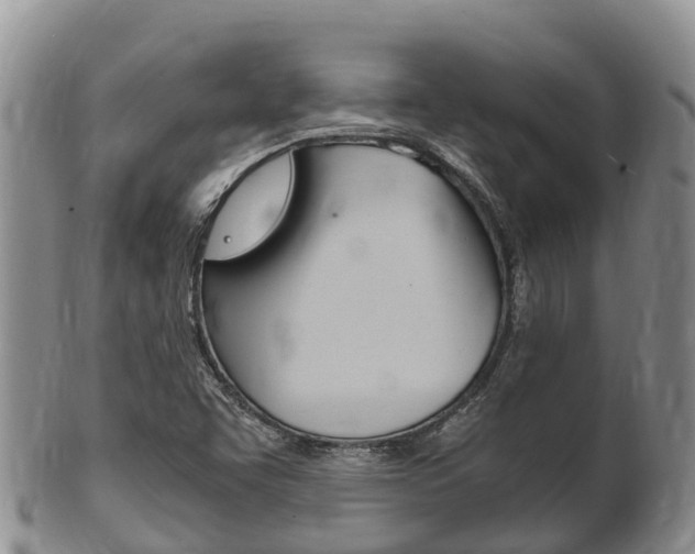 X0000102521455200808081018