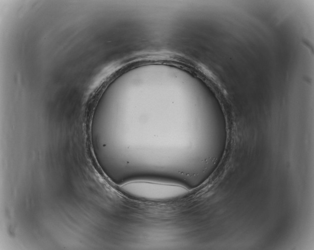 X0000102521456200808081018