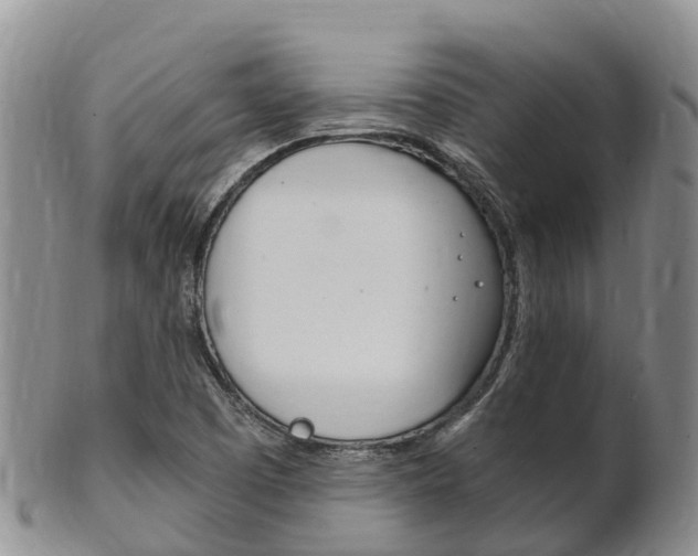 X0000102521457200808081018