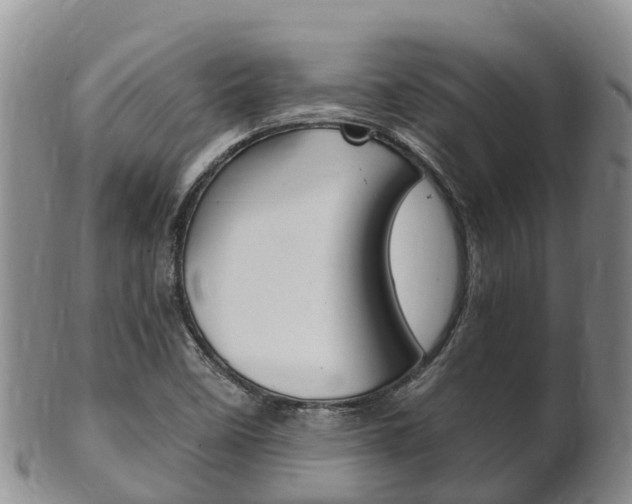 X0000102521458200808081018