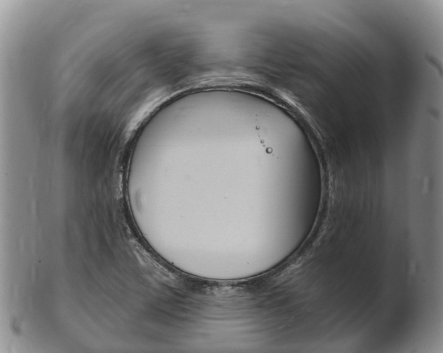 X0000102521459200808081018