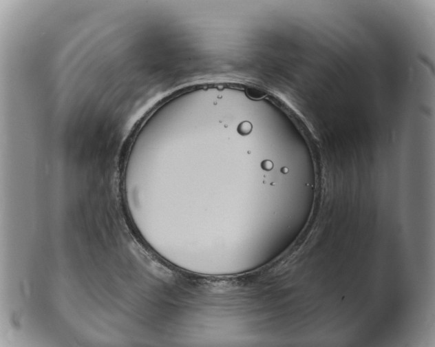 X0000102521460200808081018