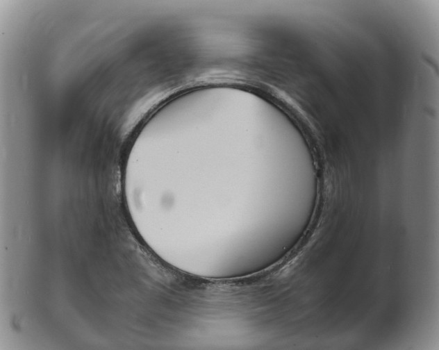 X0000102521461200808081018