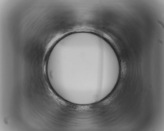 X0000102521462200808081018