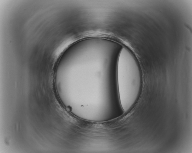 X0000102521463200808081018