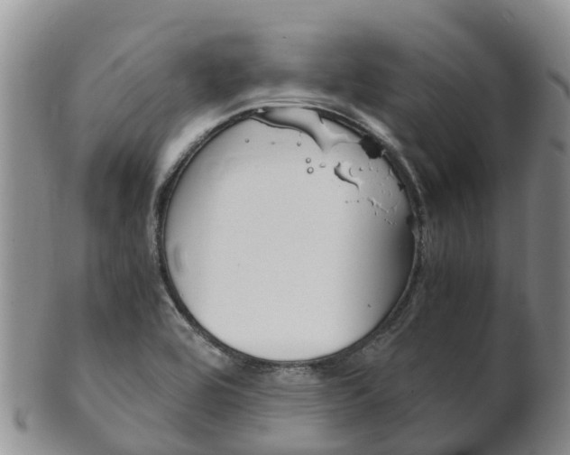 X0000102521464200808081018