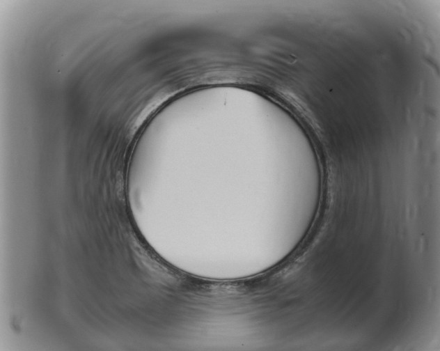 X0000102521465200808081018