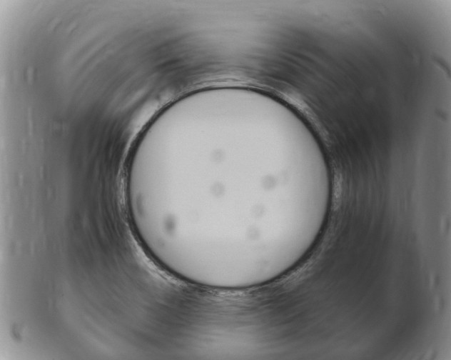 X0000102521466200808081018