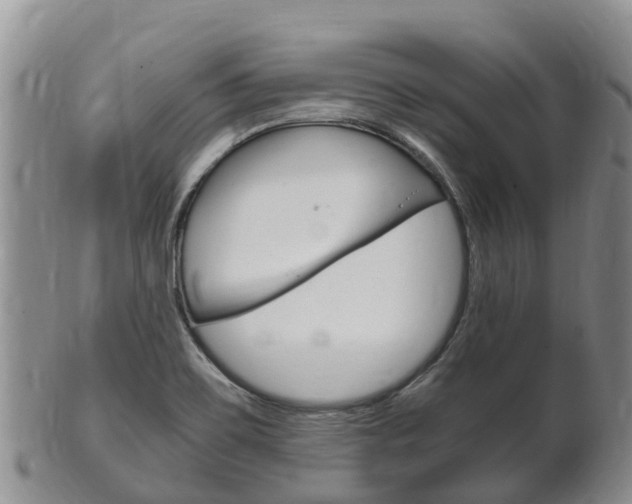 X0000102521467200808081018
