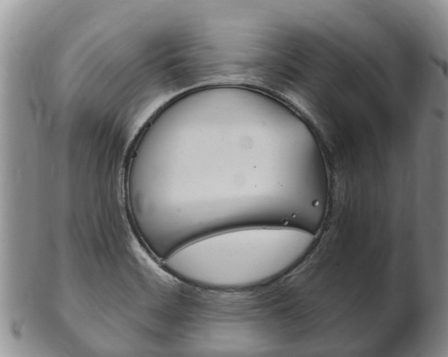 X0000102521468200808081018