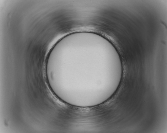 X0000102521470200808081018