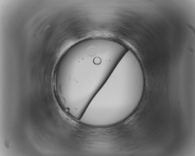 X0000102521471200808081018