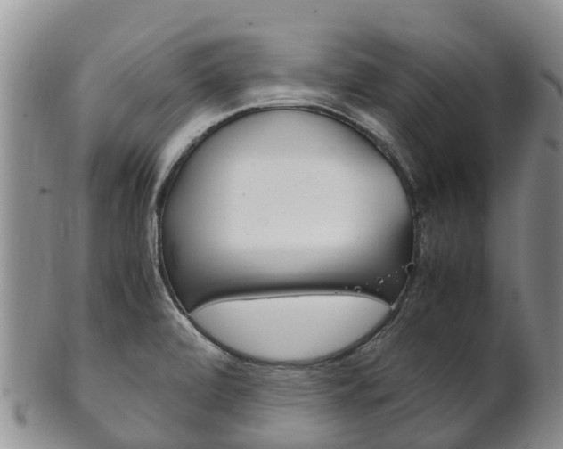 X0000102521472200808081018