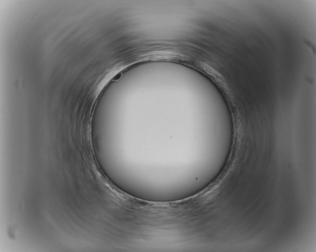 X0000102521473200808081018