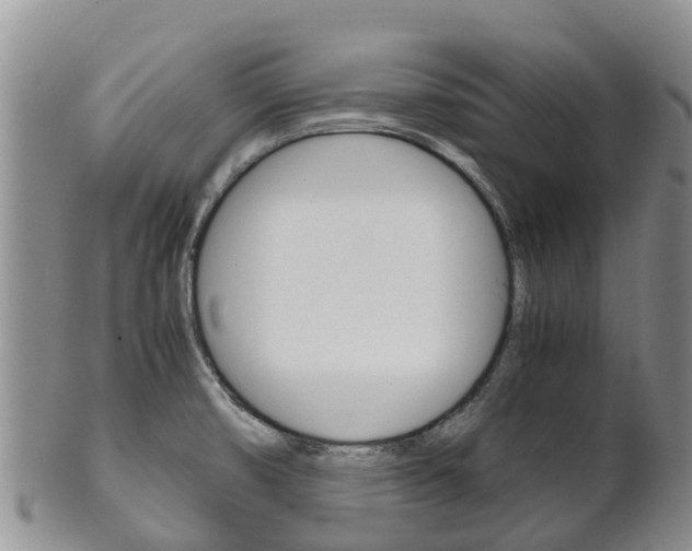 X0000102521474200808081018