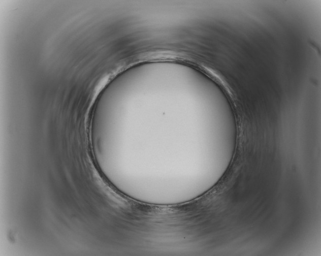 X0000102521475200808081018