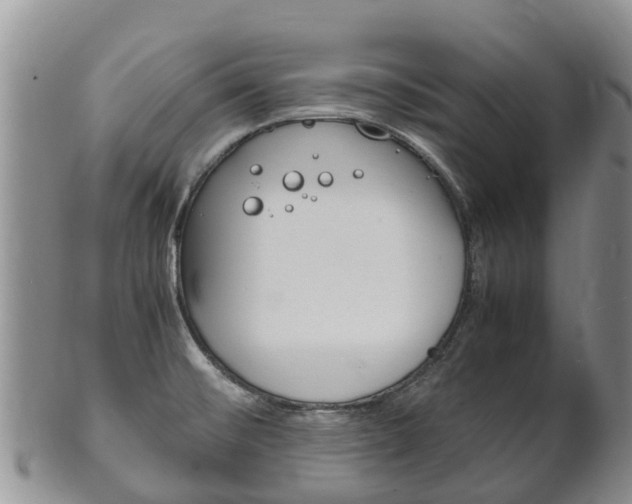X0000102521476200808081018
