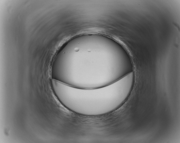 X0000102521477200808081018