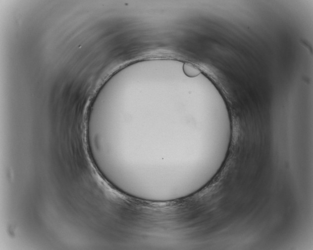 X0000102521478200808081018