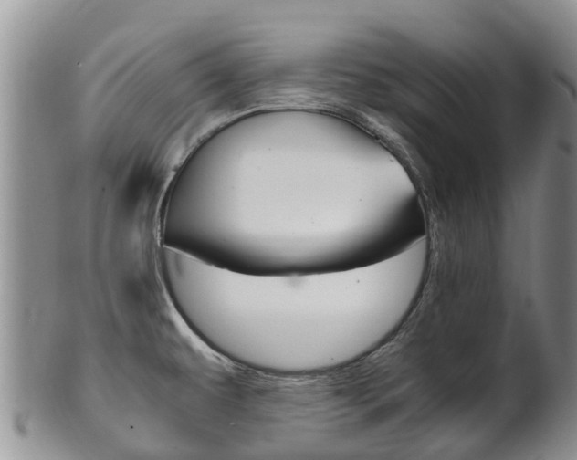 X0000102521479200808081018