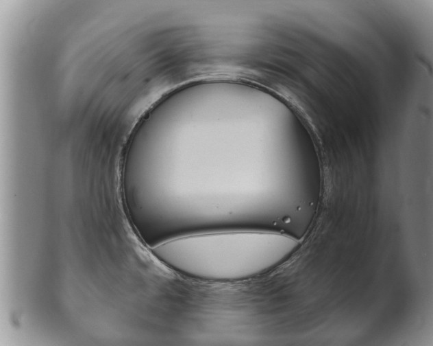 X0000102521480200808081018