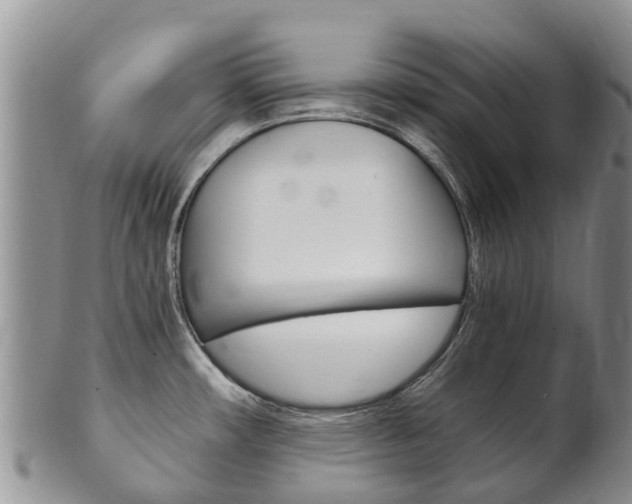 X0000102521482200808081018