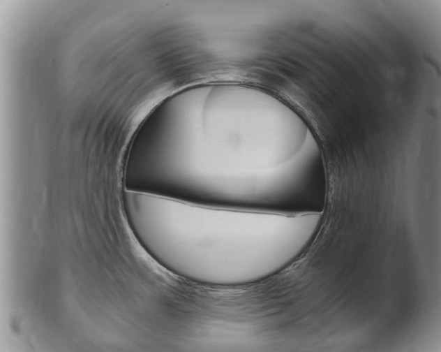 X0000102521483200808081018