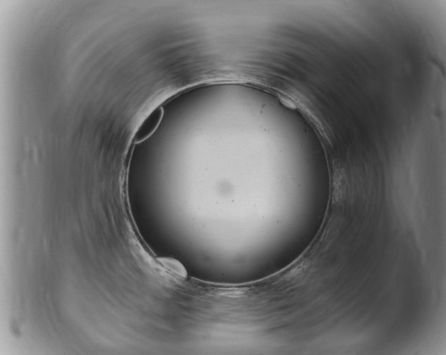 X0000102521484200808081018