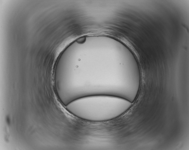 X0000102521485200808081018