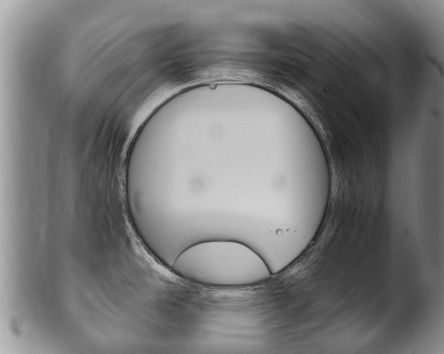 X0000102521486200808081018