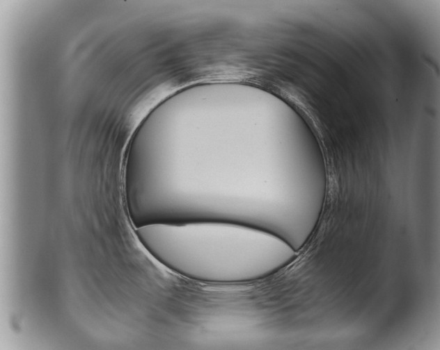 X0000102521487200808081018
