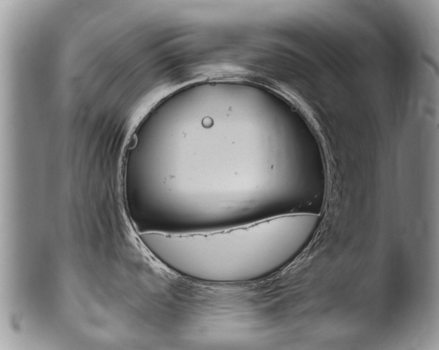 X0000102521488200808081018