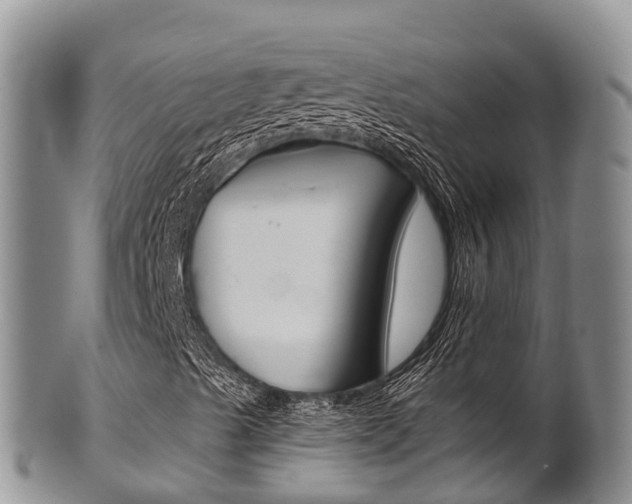 X0000102521489200808081017