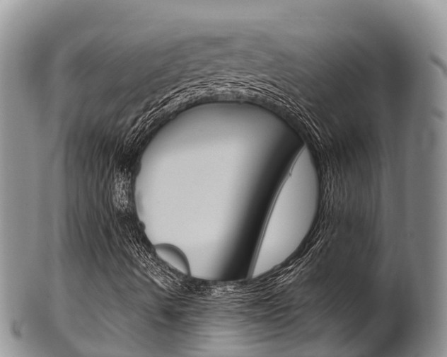 X0000102521490200808081017