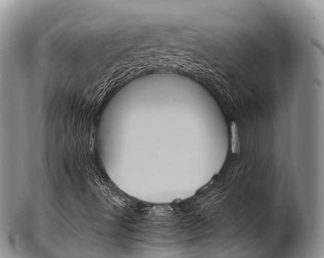 X0000102521491200808081017