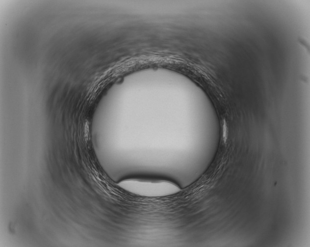 X0000102521492200808081017