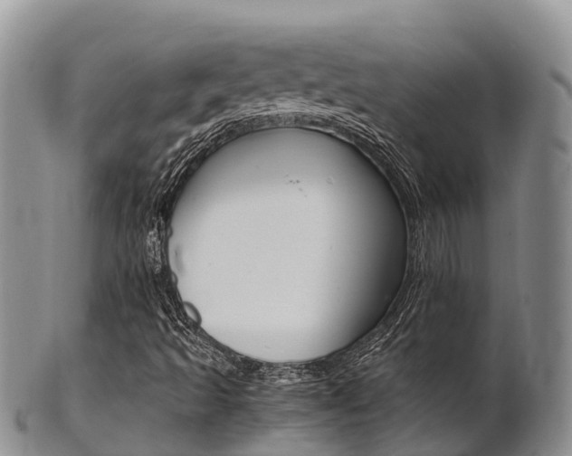 X0000102521493200808081017